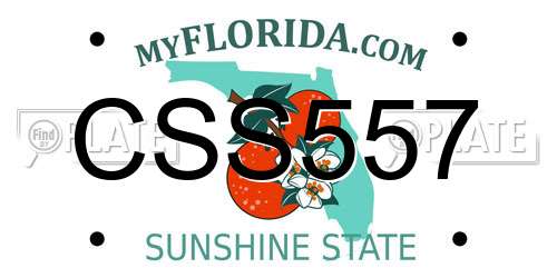 CSS557 Florida License Plate