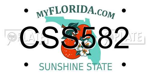 CSS582 Florida License Plate