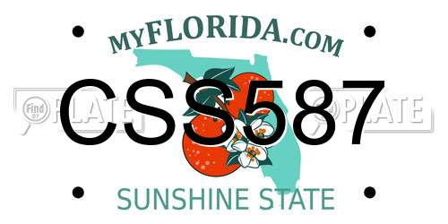 CSS587 Florida License Plate