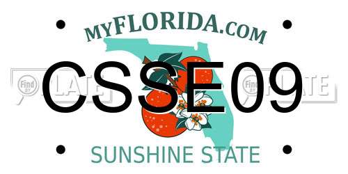 CSSE09 Florida License Plate