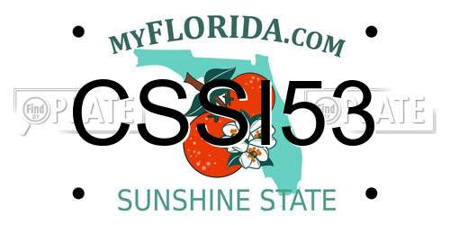 CSSI53 Florida License Plate