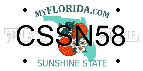 CSSN58 Florida License Plate