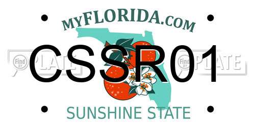 CSSR01 Florida License Plate