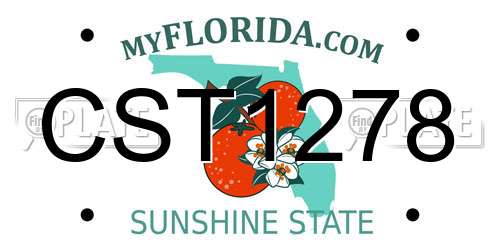 CST1278 Florida License Plate