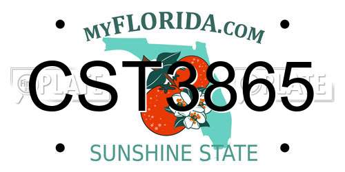 CST3865 Florida License Plate
