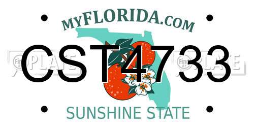 CST4733 Florida License Plate
