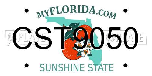 CST9050 Florida License Plate