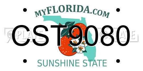 CST9080 Florida License Plate