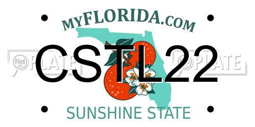 CSTL22 Florida License Plate