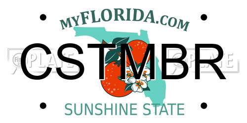 CSTMBR Florida License Plate