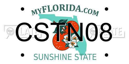 CSTN08 Florida License Plate
