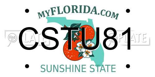 CSTU81 Florida License Plate