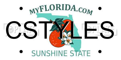 CSTYLES Florida License Plate