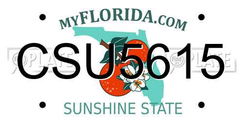 CSU5615 Florida License Plate