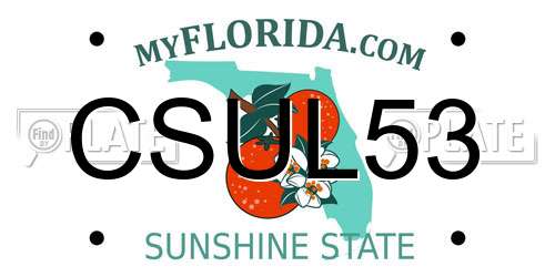 CSUL53 Florida License Plate