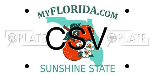 CSV Florida License Plate