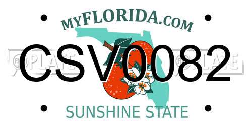 CSV0082 Florida License Plate