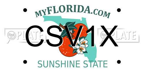 CSV1X Florida License Plate