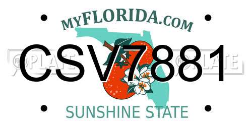 CSV7881 Florida License Plate