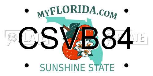 CSVB84 Florida License Plate