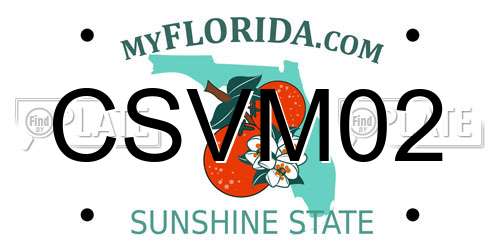 CSVM02 Florida License Plate