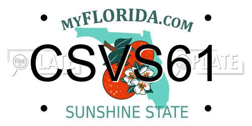 CSVS61 Florida License Plate
