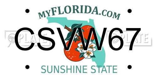 CSVW67 Florida License Plate