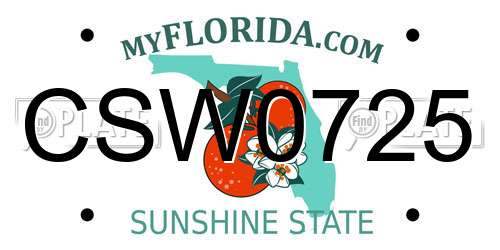 CSW0725 Florida License Plate