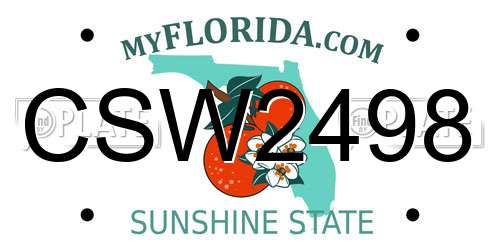 CSW2498 Florida License Plate