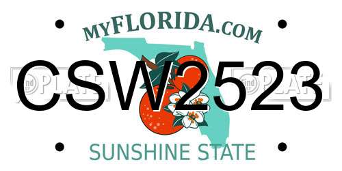 CSW2523 Florida License Plate