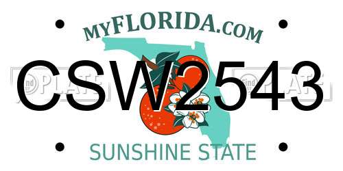 CSW2543 Florida License Plate