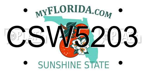 CSW5203 Florida License Plate