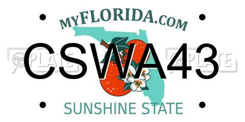 CSWA43 Florida License Plate