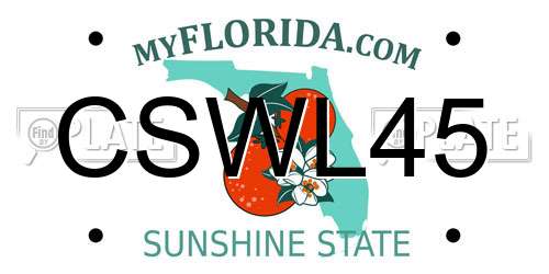 CSWL45 Florida License Plate