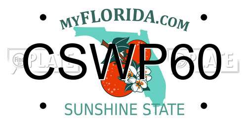 CSWP60 Florida License Plate