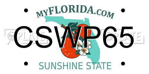 CSWP65 Florida License Plate