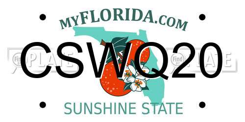 CSWQ20 Florida License Plate