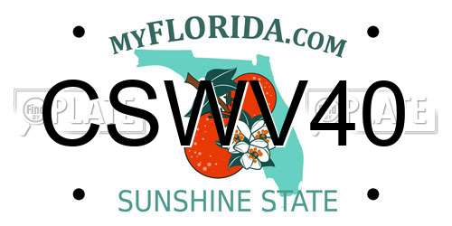 CSWV40 Florida License Plate