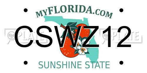 CSWZ12 Florida License Plate