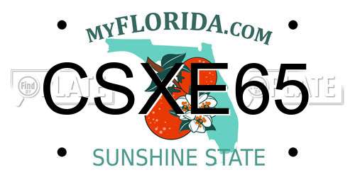 CSXE65 Florida License Plate