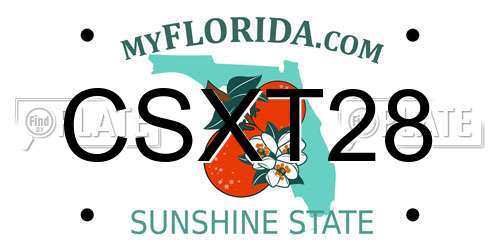 CSXT28 Florida License Plate