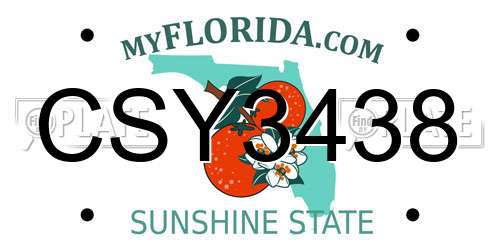 CSY3438 Florida License Plate