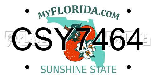 CSY7464 Florida License Plate