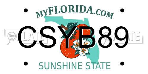 CSYB89 Florida License Plate