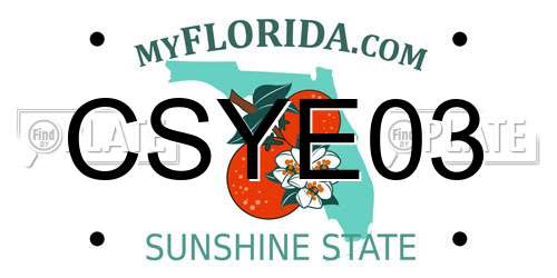 CSYE03 Florida License Plate