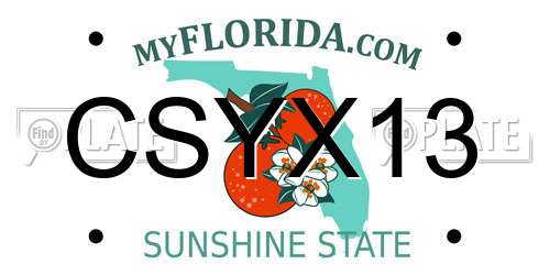 CSYX13 Florida License Plate