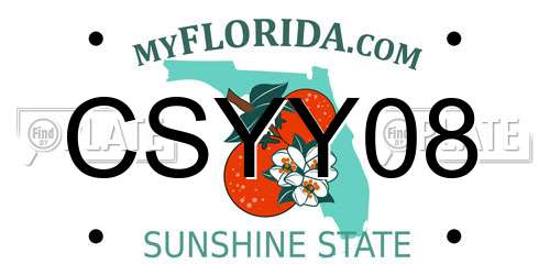 CSYY08 Florida License Plate