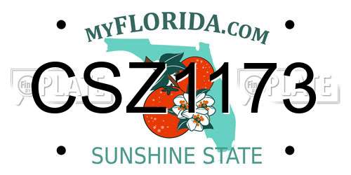 CSZ1173 Florida License Plate