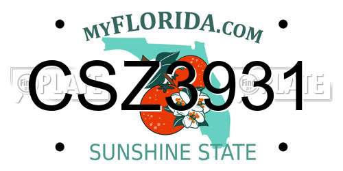 CSZ3931 Florida License Plate