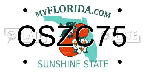 CSZC75 Florida License Plate